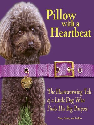 cover image of Pillow with a Heartbeat